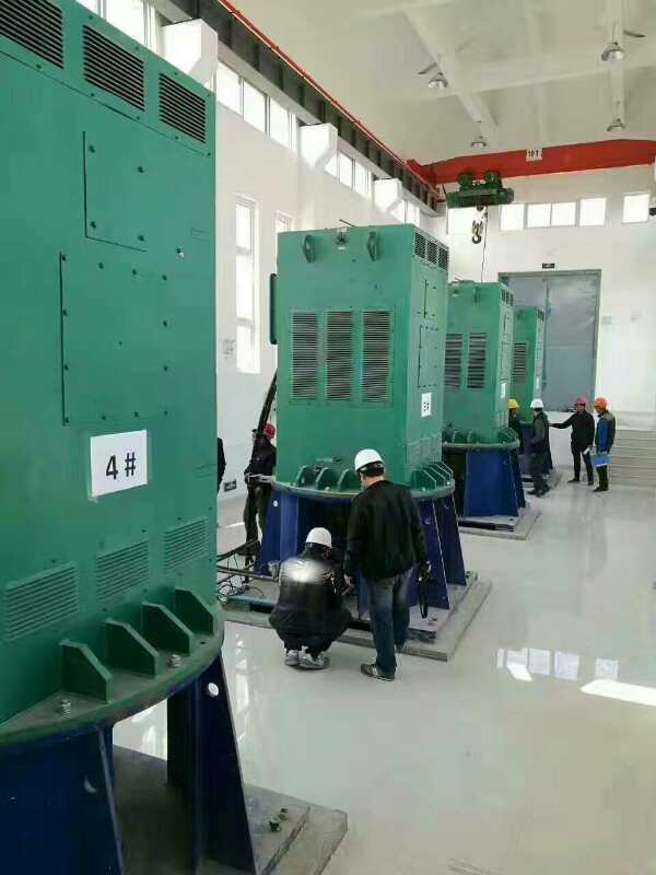 攸县某污水处理厂使用我厂的立式高压电机安装现场
