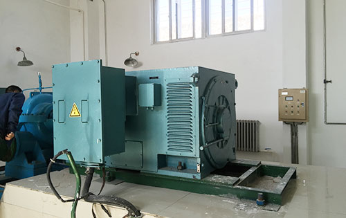 攸县某水电站工程主水泵使用我公司高压电机一年质保